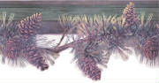 pinecones.jpg